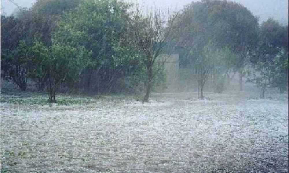 Κρήτη-Κακοκαιρία: Σφοδρή χαλαζόπτωση έπληξε το κέντρο του Ηρακλείου (εικόνες)